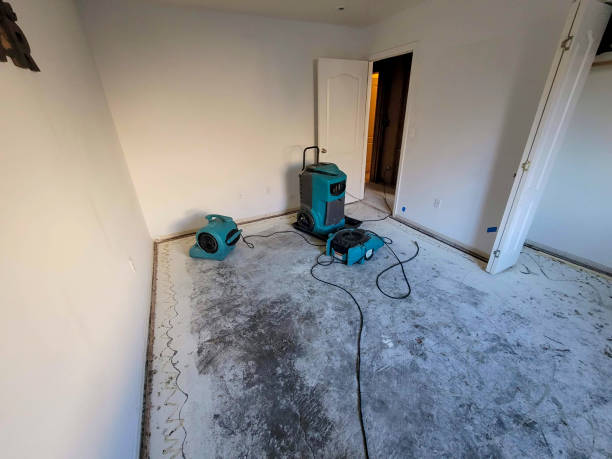 24/7 water damage repair in VA