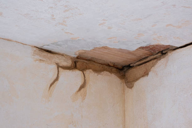 Best 24/7 water damage repair  in South Boston, VA