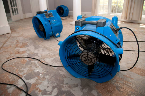 Best Carpet water damage restoration  in South Boston, VA